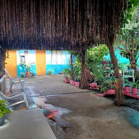 Pete'S Inn Roxas City Exterior foto