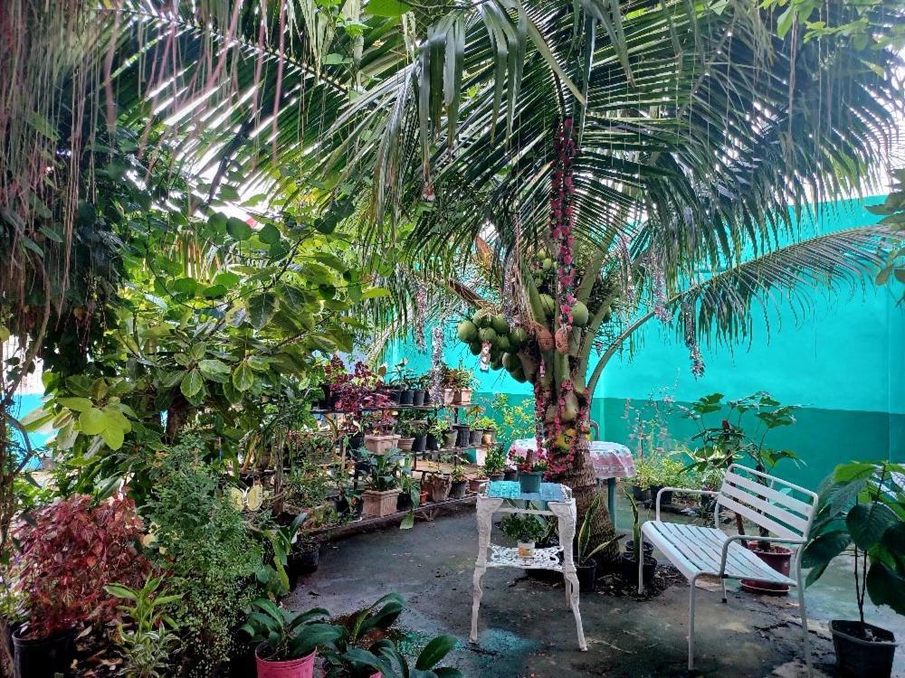 Pete'S Inn Roxas City Exterior foto
